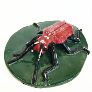 Beetle by Holly Sabourin