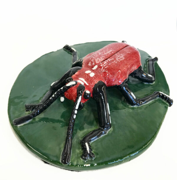 Beetle by Holly Sabourin