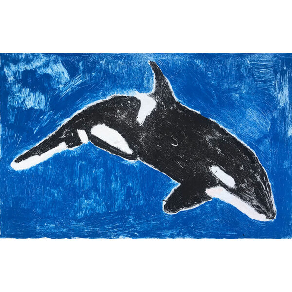 Orca monoprint by Margaret B.