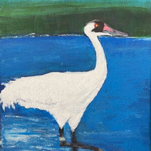 Whooping Crane by Grace Willard
