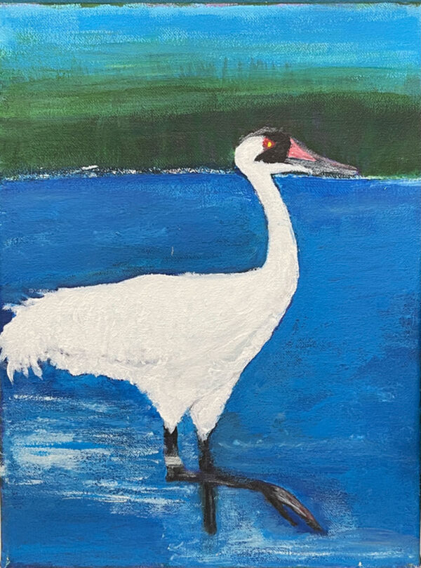 Whooping Crane by Grace Willard