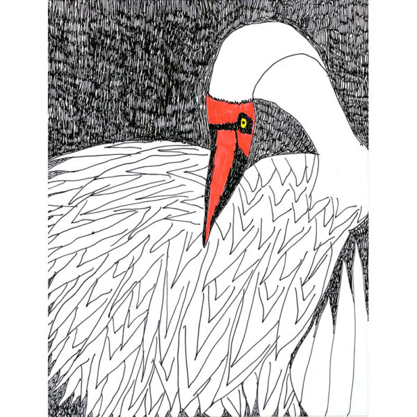 Crane by Linda Vincent (print) - Image 2