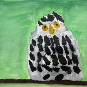 Acrlyic painting of an owl on a green background