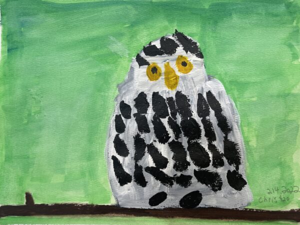 Acrlyic painting of an owl on a green background