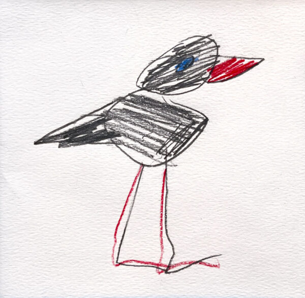 Drawing of a black bird with red beak and legs