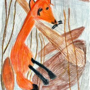 Coloured pencil drawing of an orange box with black legs