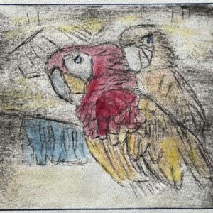 Drypoint of two parrots in pale yellow and red