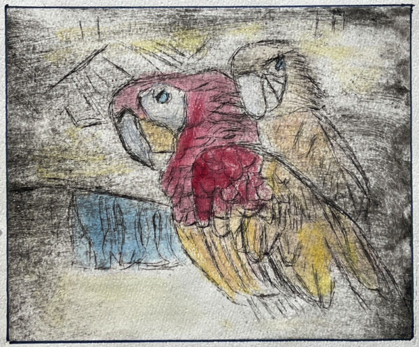 Drypoint of two parrots in pale yellow and red