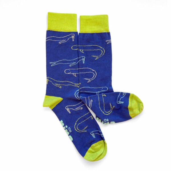 Whale and Walrus Socks by Cailean Duff - Image 3