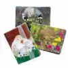 Animal Greeting Card Set of 6 by Shantel Timmerman