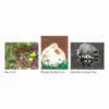 Animal Greeting Card Set of 6 by Shantel Timmerman - Image 3